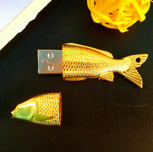 fish_usb.jpg