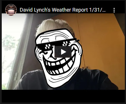 Lynch Being Lynch.jpg
